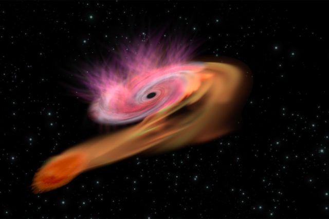 Artist's impression of the process known as tidal disruption when a star passes near a supermassive black hole. Credit: ESA / C. Carreau