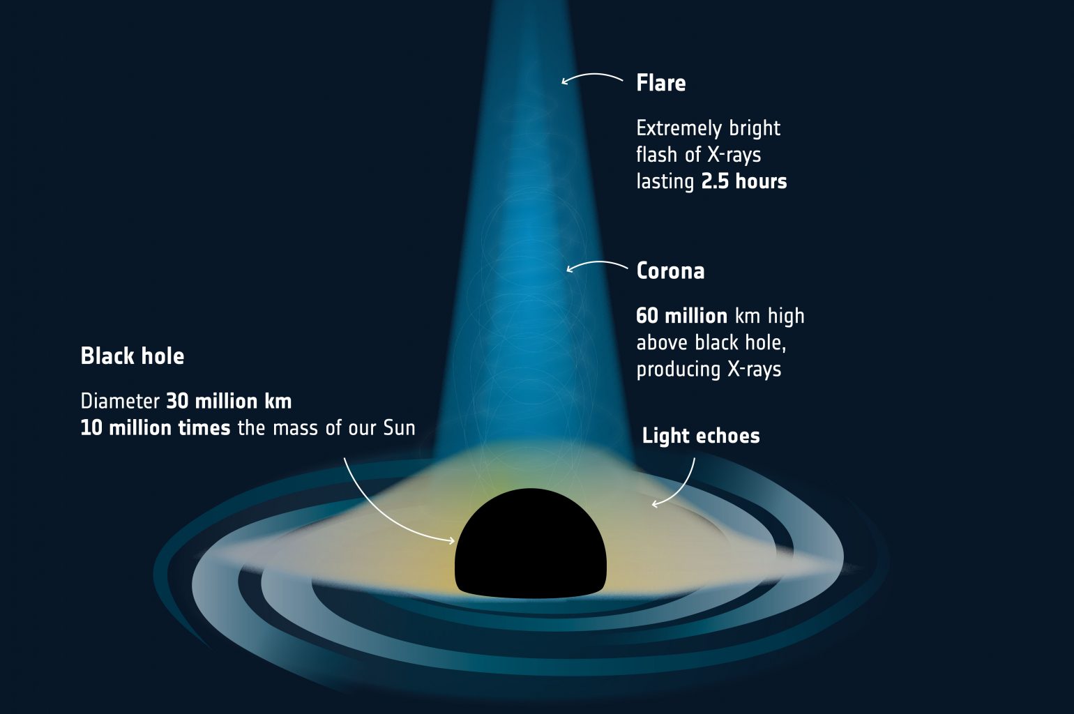 The diagram shows the corona of a black hole, producing X-ray flares, and their light "echo" reflected from the accretion disk. Credit: ESA