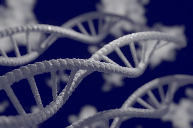 The human genome is not as unique as we thought. Credit: Pixabay