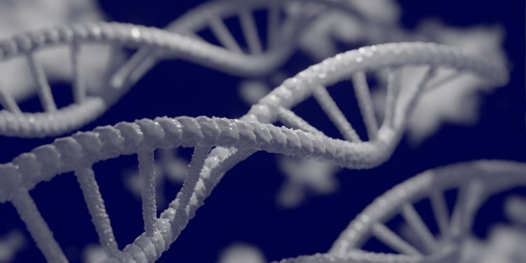 The human genome is not as unique as we thought. Credit: Pixabay