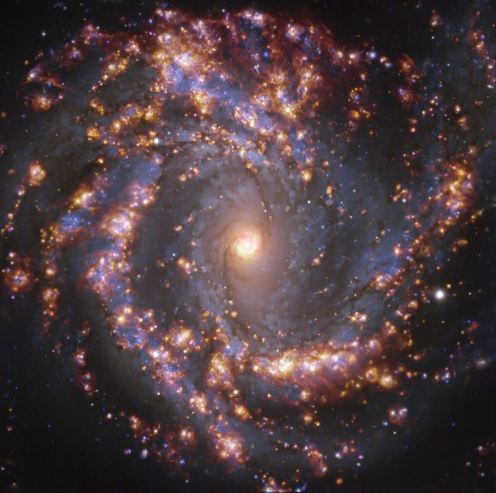 A photograph of NGC 4303.