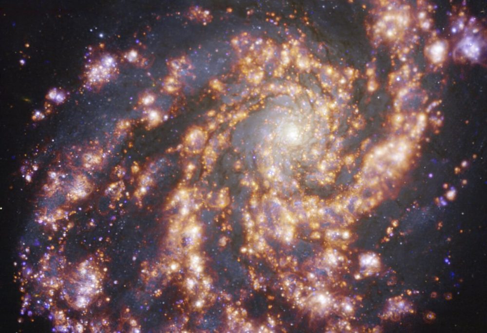 An image of the nearby galaxy NGC 4254. 