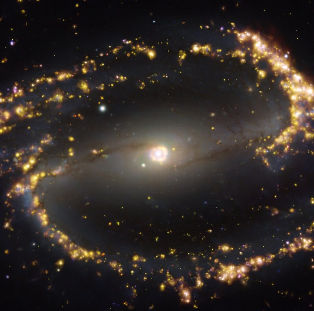 An image showing the spiral galaxy NGC 1300. 