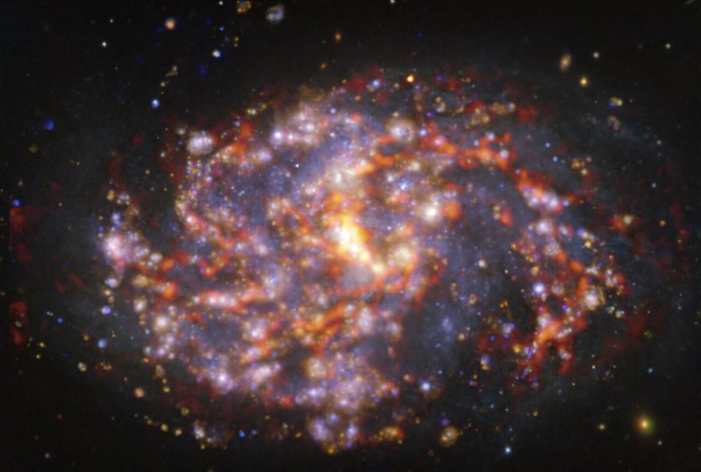 An image of nearby galaxy NGC 1087.