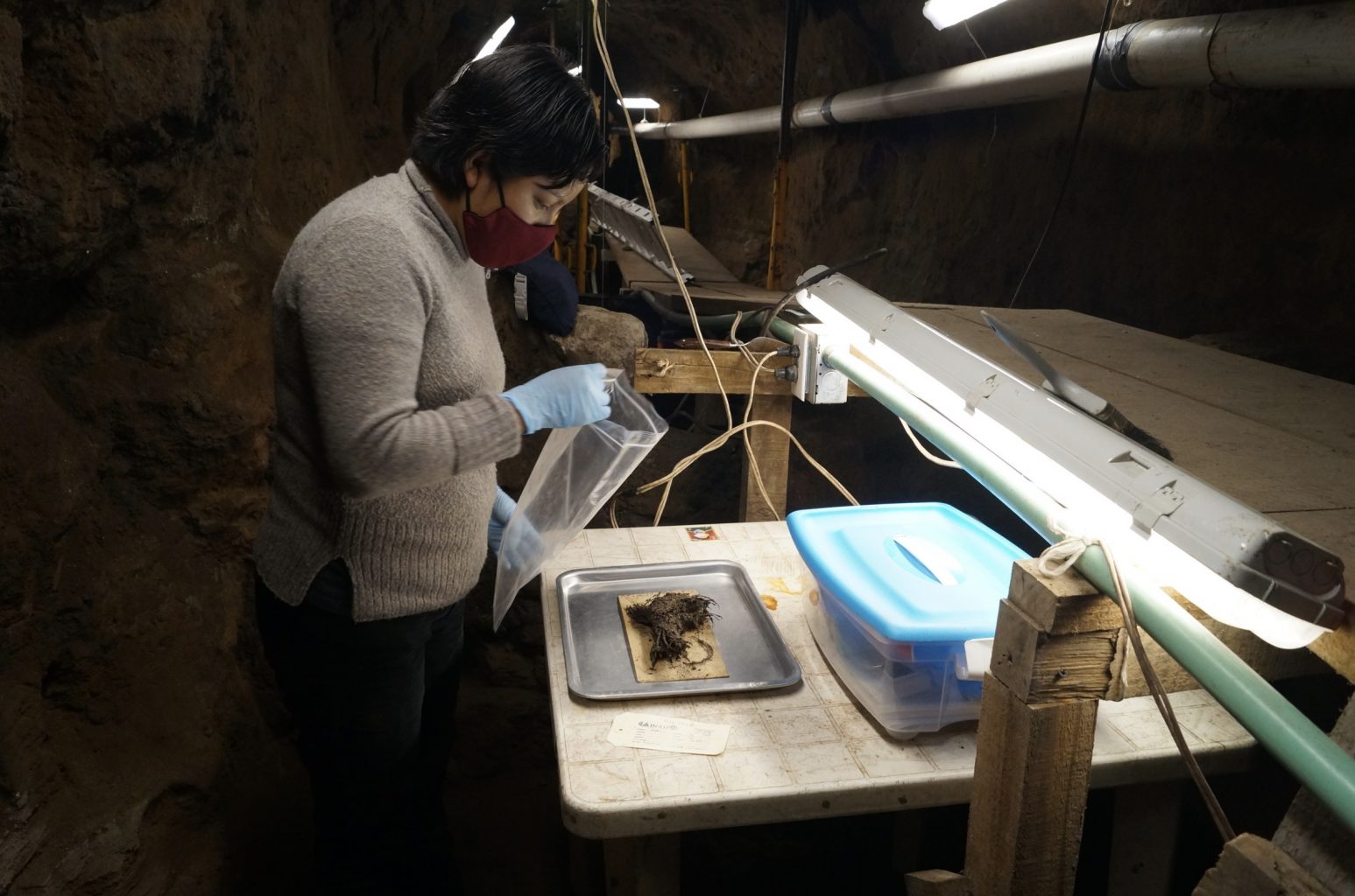 Archaeologists inspecting the bouquets in the tunnel. Credit: La Jornada