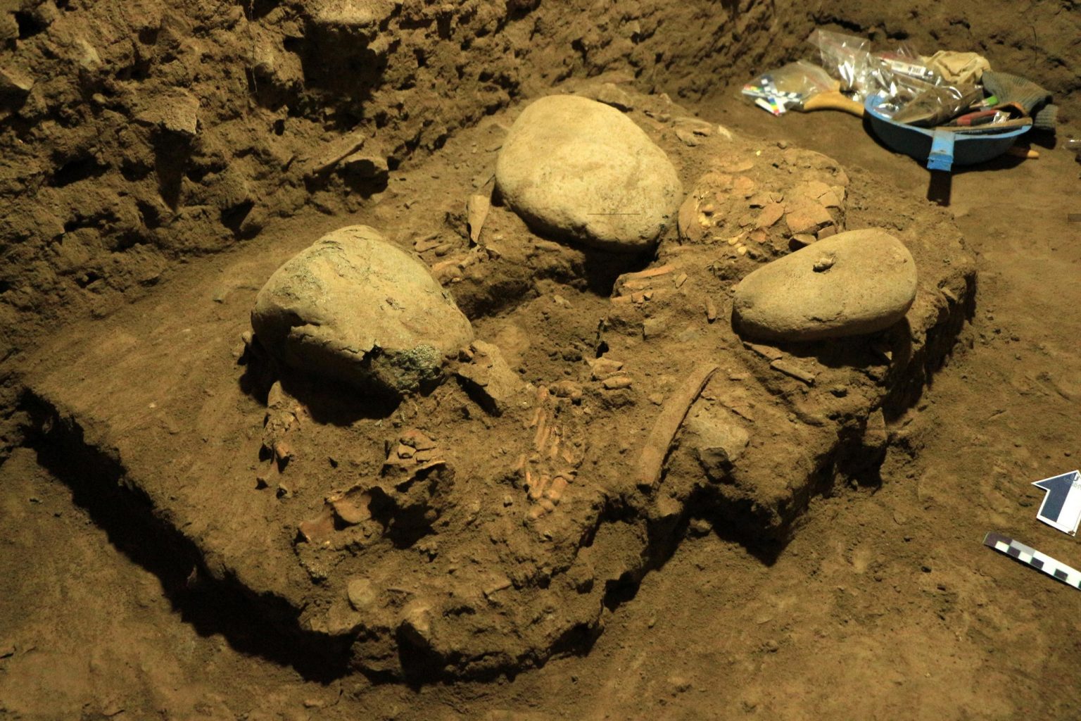 The "almost preserved skeleton" of the 'new human' found in the Leang Panninge cave. Credit: University of Hasanuddin