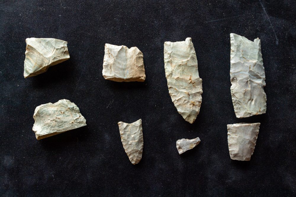 Researchers discovered more than 20 tools and hundreds of manufacturing debris from the Clovis Culture. Credit: Daryl Marshke/Michigan Photography