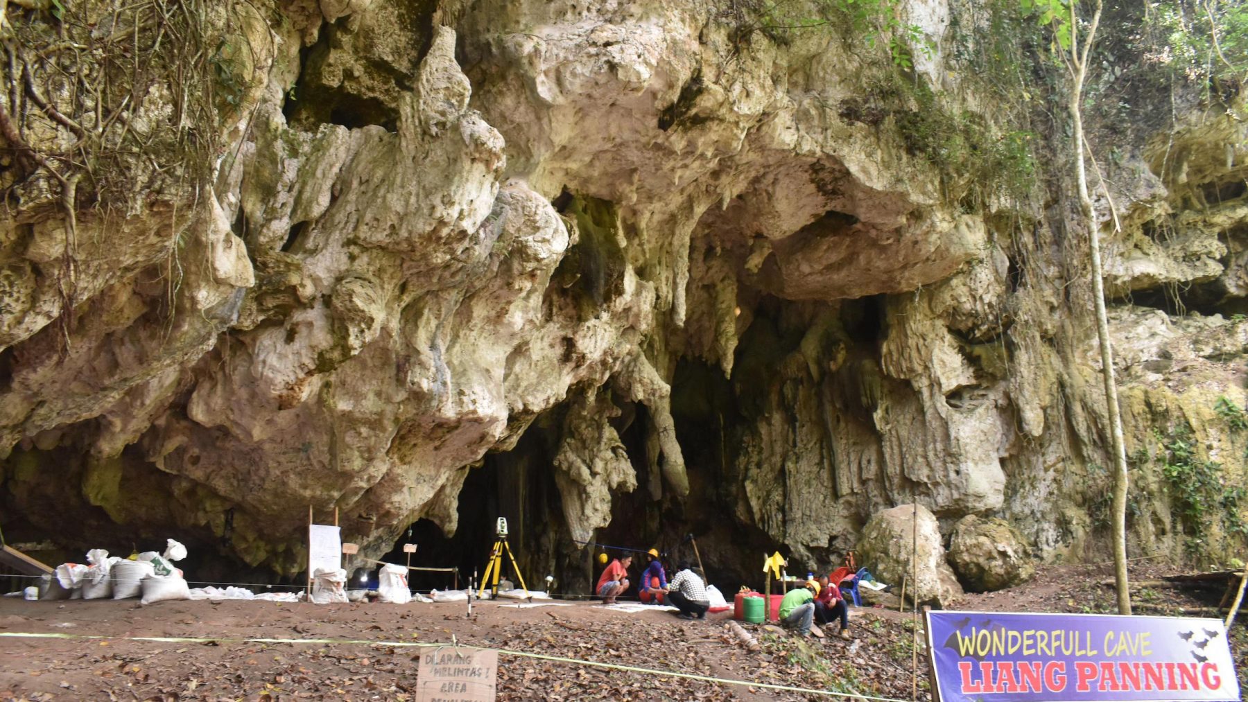 The entrance of the Panninge cave where scientists found a new human genome. Credit: Leang Panninge research project
