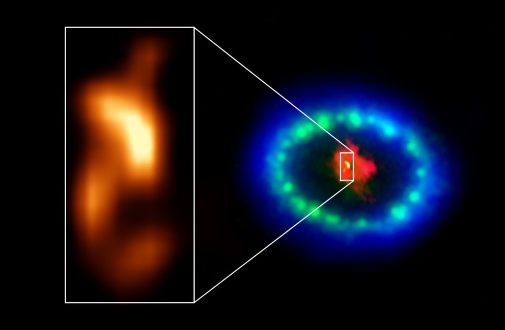 The core of Supernova 1987A imaged at radio wavelenghts with ALMA. Credit: ALMA (ESO/NAOJ/NRAO), P. Cigan and R. Indebetouw; NRAO/AUI/NSF, B. Saxton; NASA/ESA