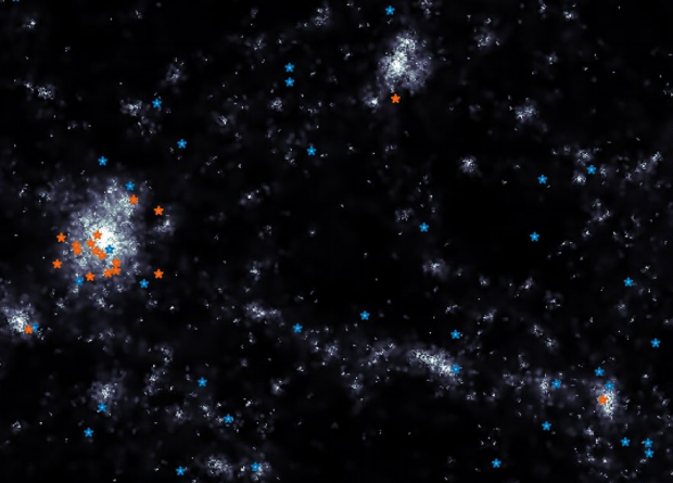 Distribution of star-forming (blue asterisks) and extinct (red asterisks) ultradiffuse galaxies in the simulated volume (dimensions along each axis are of the order of tens of megaparsecs). The overall galactic structure is shown in grayscale. Credit: José Benavides et al. / Nature Astronomy Letters, 2021