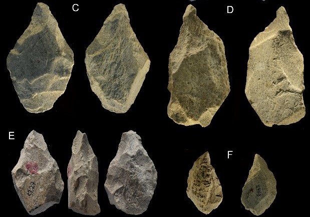 Some of the 400,000-year-old elephant bone tools discovered in Italy. Credit: Paola Villa et al. / PLOS One, 2021