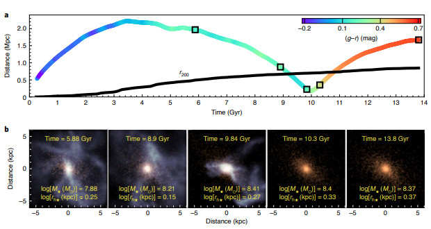 Top: diagram of the approach of an ultradiffuse galaxy with a cluster and the subsequent extinction of star formation. Time is plotted horizontally, and the distance to the center of the cluster is plotted vertically. The black solid line shows the size of the cluster. Bottom: schematic images of gas (shown in blue) and stars (shown in red) in an ultradiffuse galaxy at different stages of its evolution. Credit: José Benavides et al. / Nature Astronomy Letters, 2021