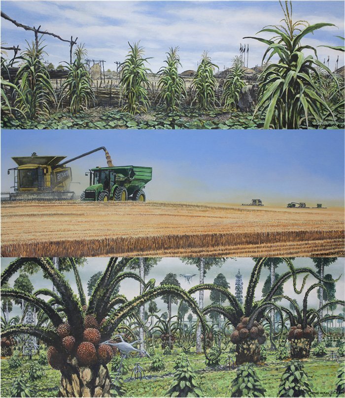 This image illustrates how the Midwest could look like in the simulated Earth in 2500. The first image shows the pre-colonization period, then we see the present-day state. The third image shows the agricultural adaptation at a time when humans might not be able to live in this part of the globe. We see that the crops are tended by drones, thus, suggesting that harvesting crops will be possible with limited human presence. Credit: Lyon et al., 2021/CC BY-ND