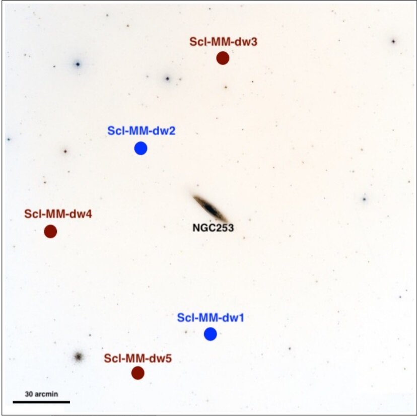 The area around the galaxy NGC 253, explored within the PISCeS program. Snapshot from DSS survey. Previously discovered dwarf galaxies are marked with blue circles, new ones - with red ones. Credit: Burçin Mutlu-Pakdil et al. / arXiv.org