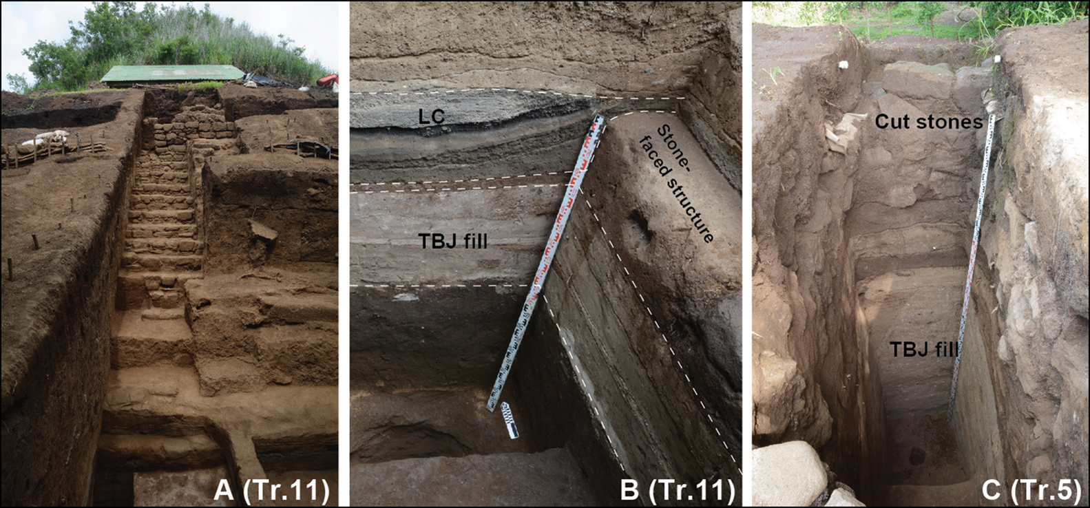 Structures at San Andres with designated layers. Credit: Akira Ichikawa / Antiquity, 2021