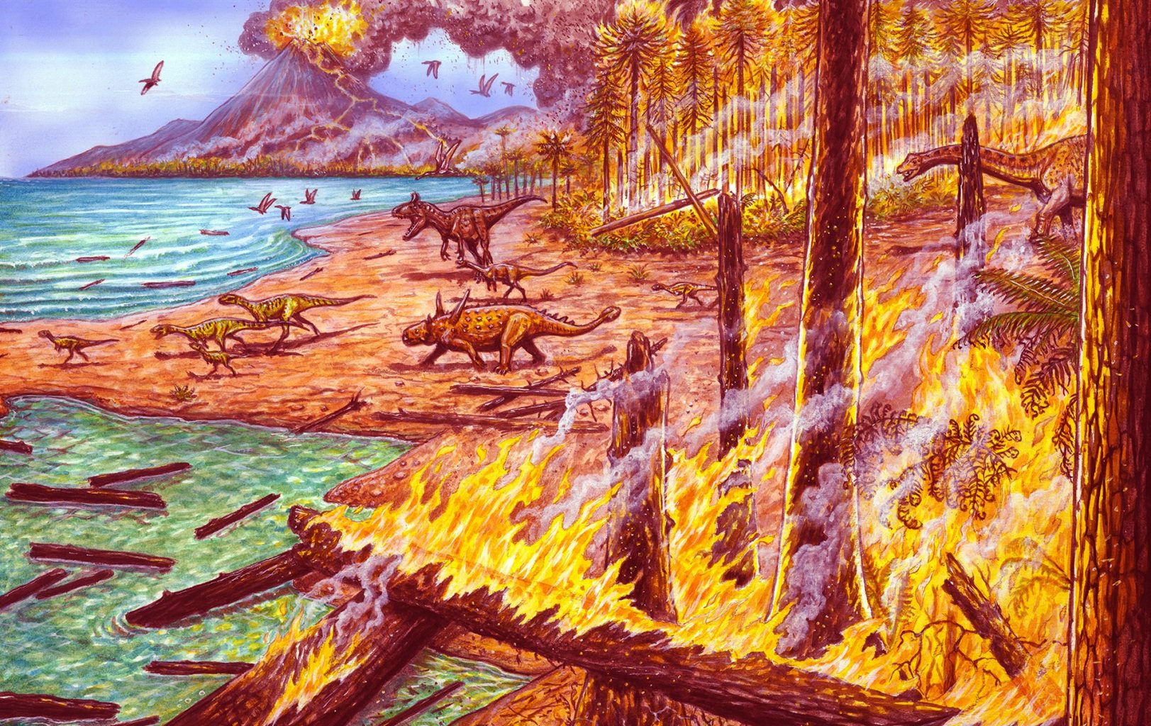 antarctica-was-devoured-by-fires-75-million-years-ago-research-reveals