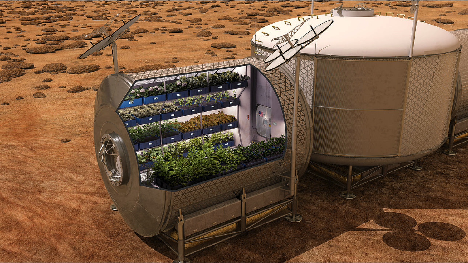 Scientists have proposed a new method to grow plants on Mars. Credit: NASA