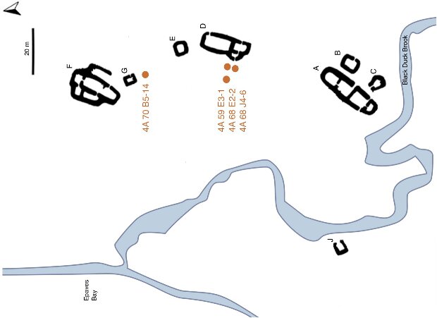 Schematic representation of the L'Anse aux Meadows site. Credit: Margot Kuitems 