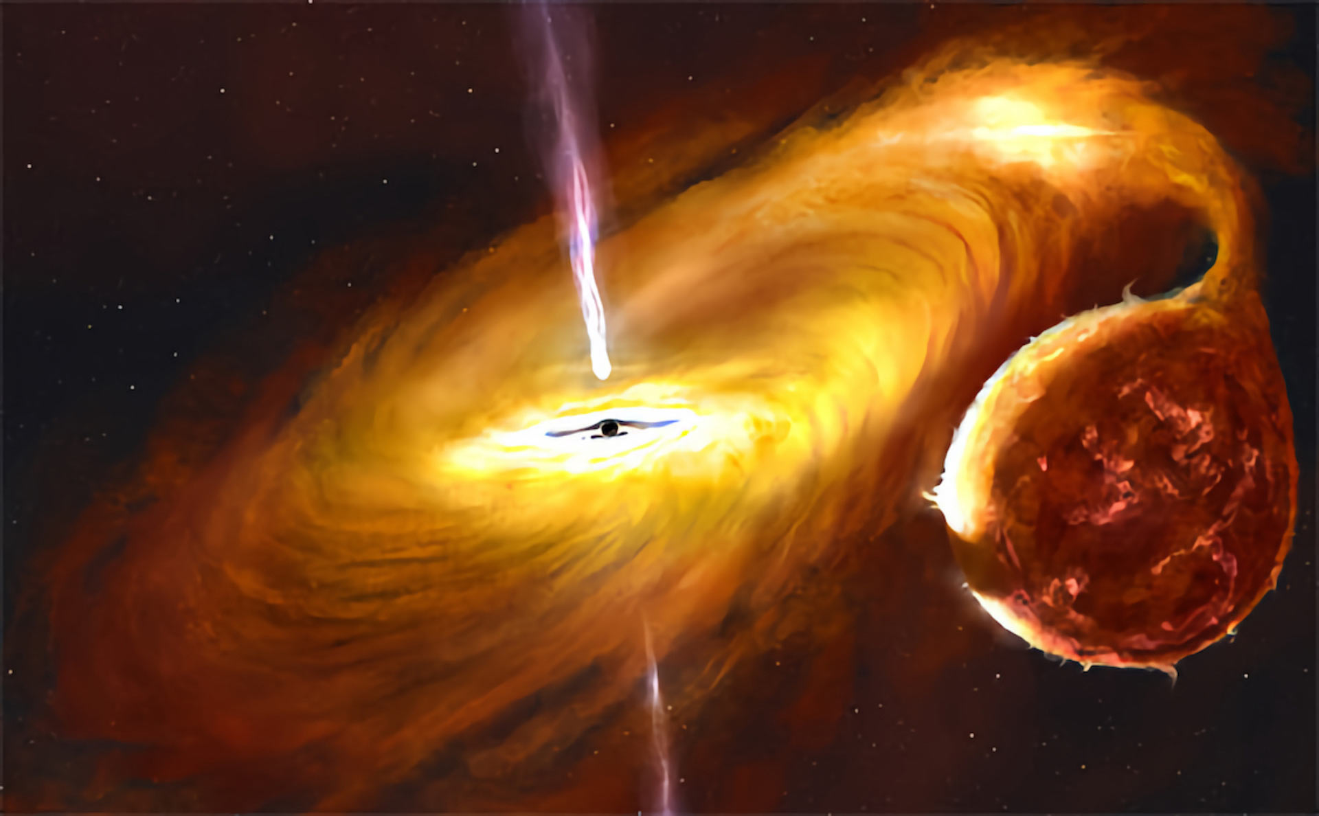 Artist's impression of a black hole with a warped accretion disc. Credit: John Paice