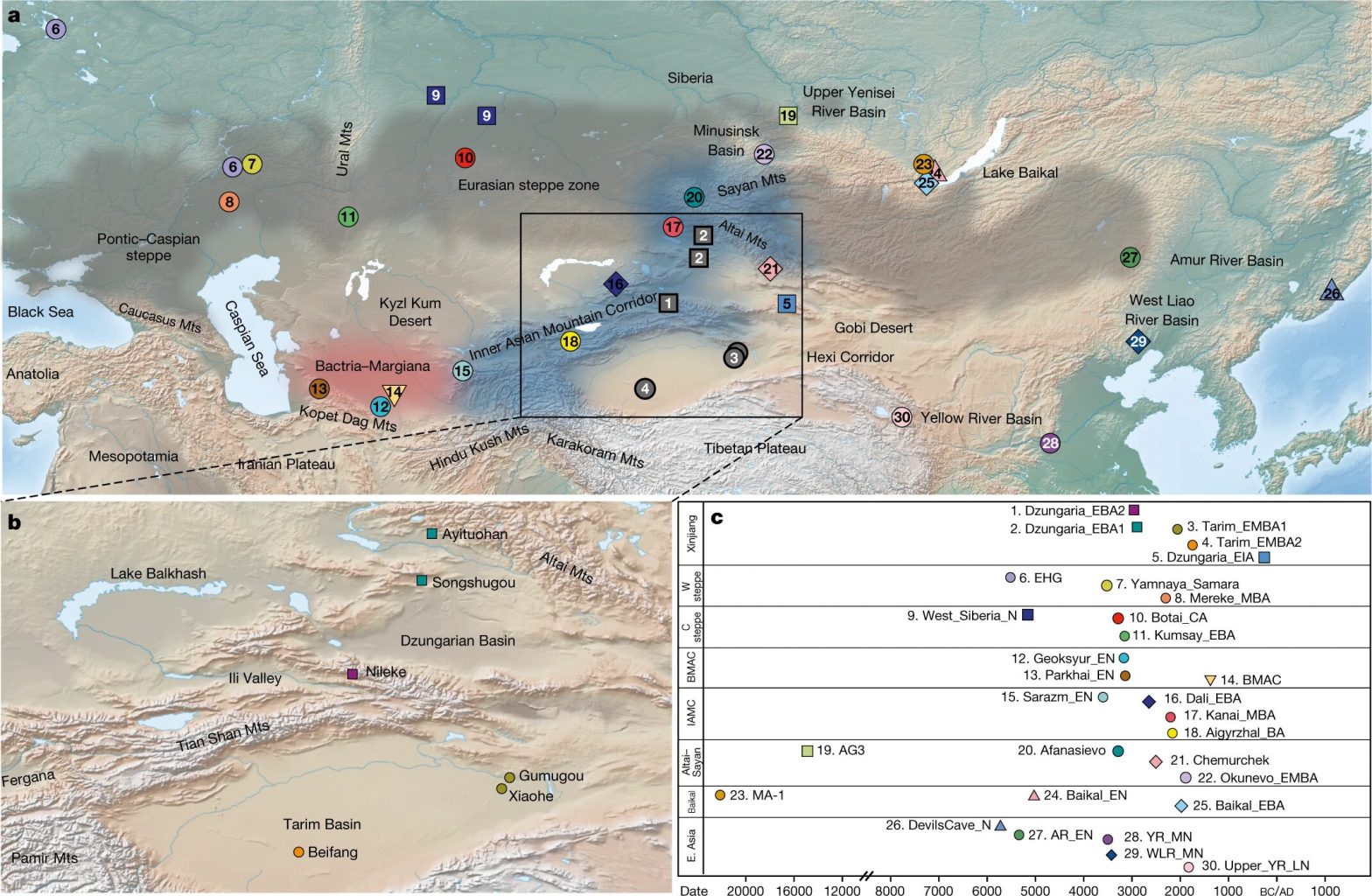 Review of archaeological sites, materials from which were studied by paleogenetics. Credit: Fan Zhang et al. / Nature, 2021