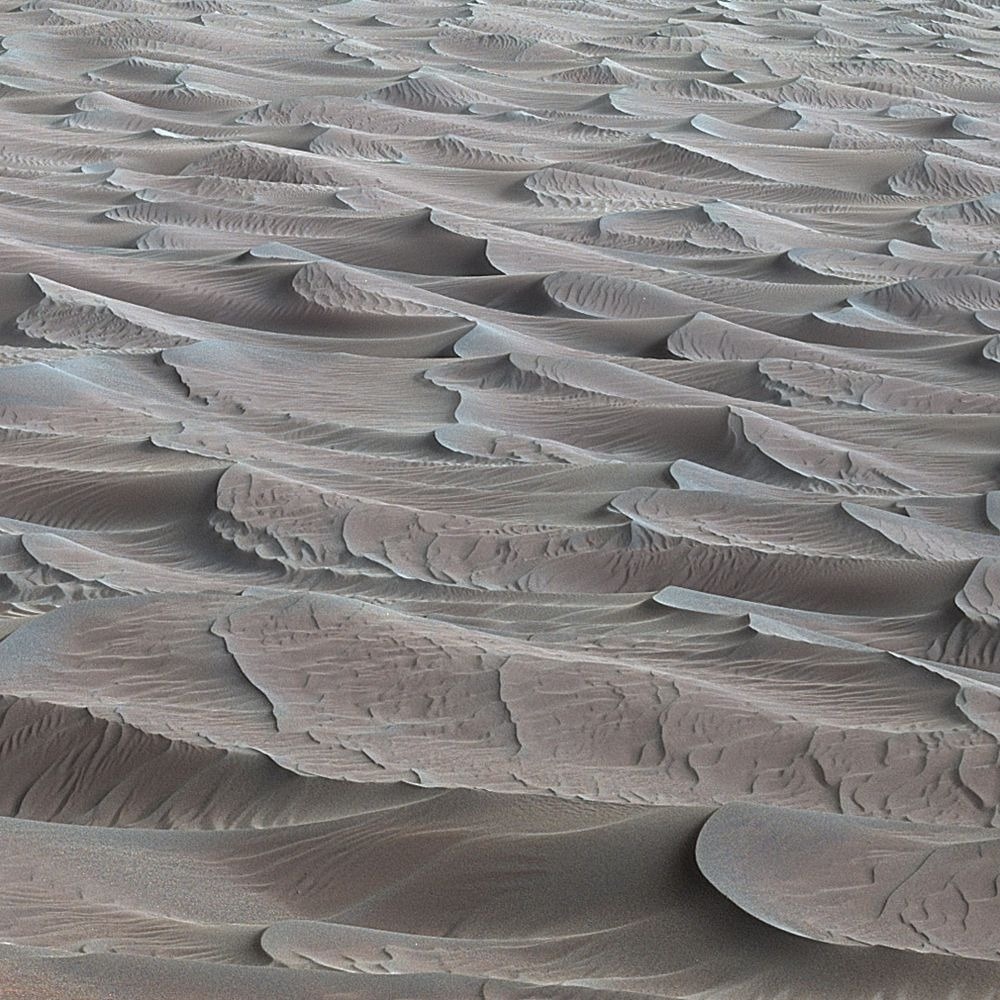 The Curiosity rover collected samples from the Bagnold Dunes (shown in this image) and found unexpected organic molecules on Mars. Credit: NASA/JPL-Caltech
