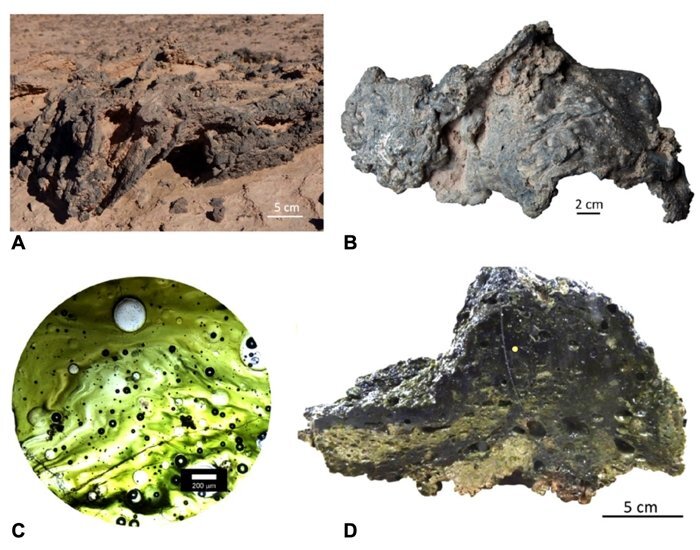 Four samples of extraterrestrial glass from the Atacama Desert. Credit: Schultz et al., Geology, 2021