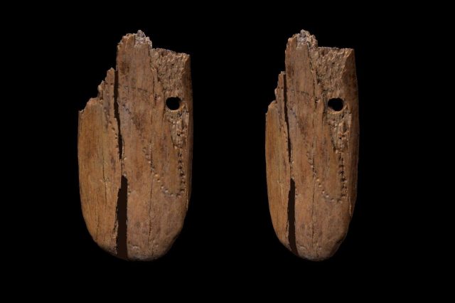 Archaeologists discovered the oldest pendant in the world. Credit: Antonino Vassana BONES Lab