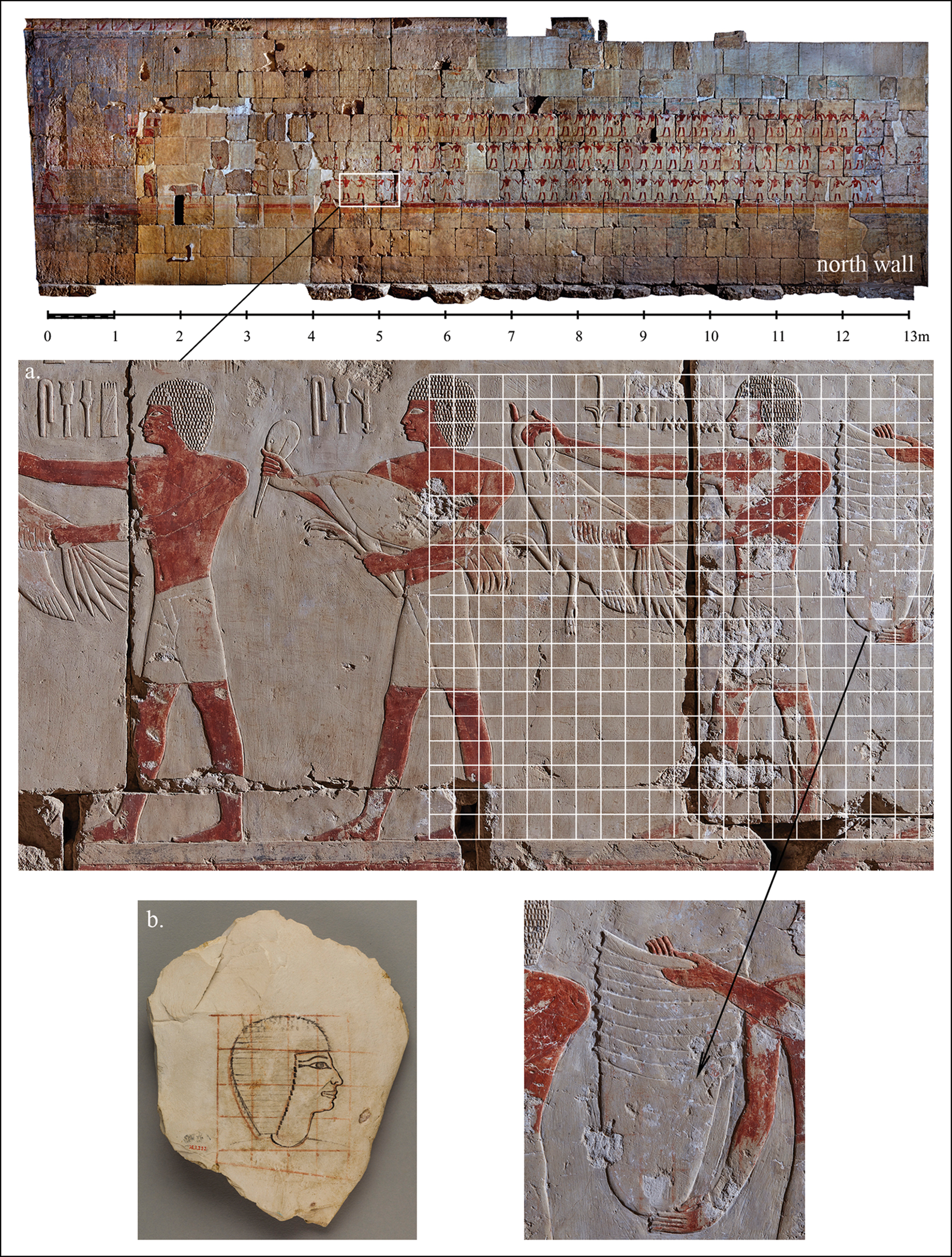 a - reconstruction of the auxiliary grid, traces of which were found on the north wall of the Hatshepsut chapel; b - an example of a sample image on a limestone ostracon (portrait of Senenmut, head of the construction of the Chapel of Hatshepsut). Credit: Anastasiia Stupko-Lubczynska / Antiquity, 2021
