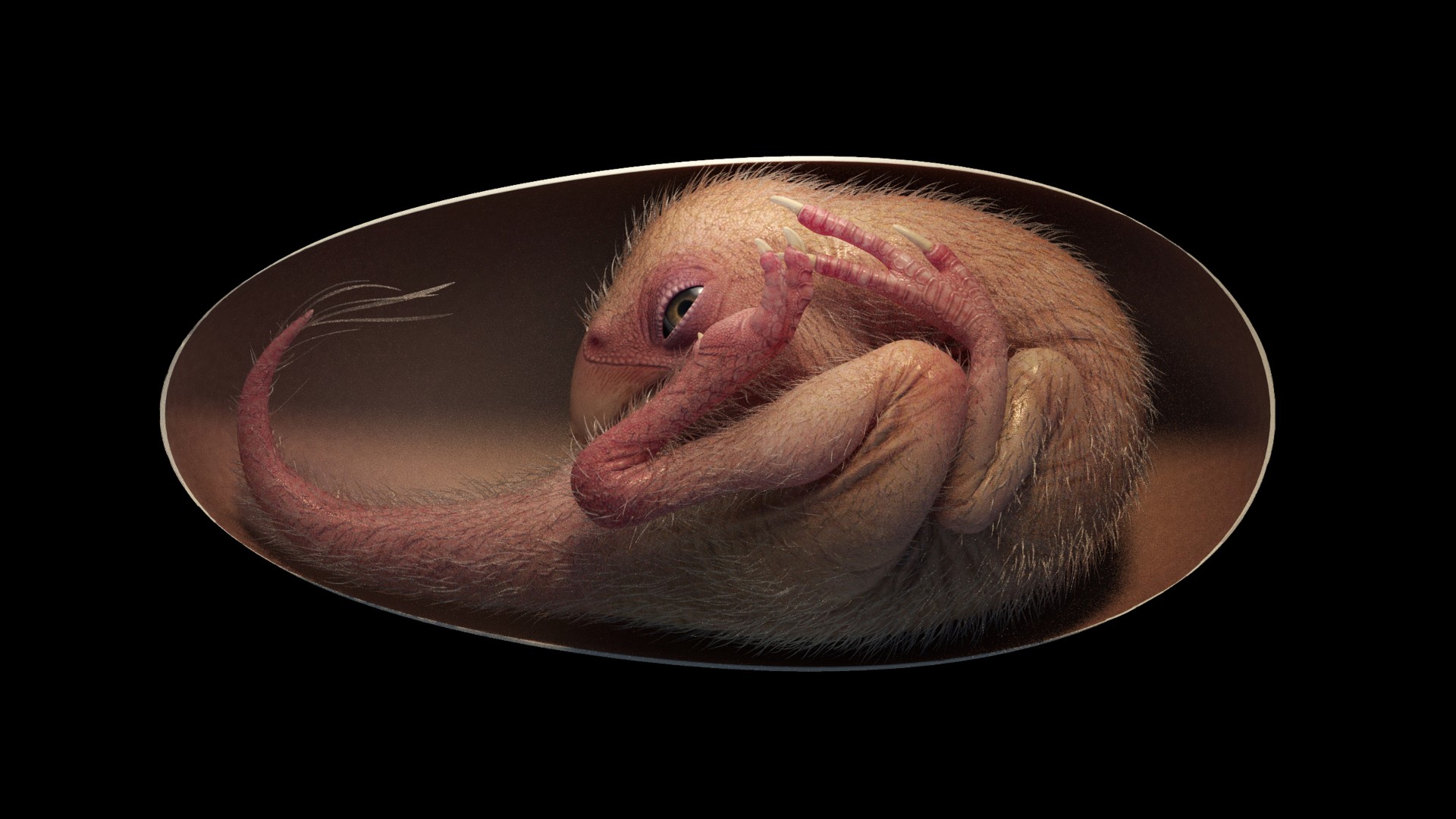 Reconstruction of the dinosaur in the egg, named Baby Yingliang. Credit: Shoulin Animation