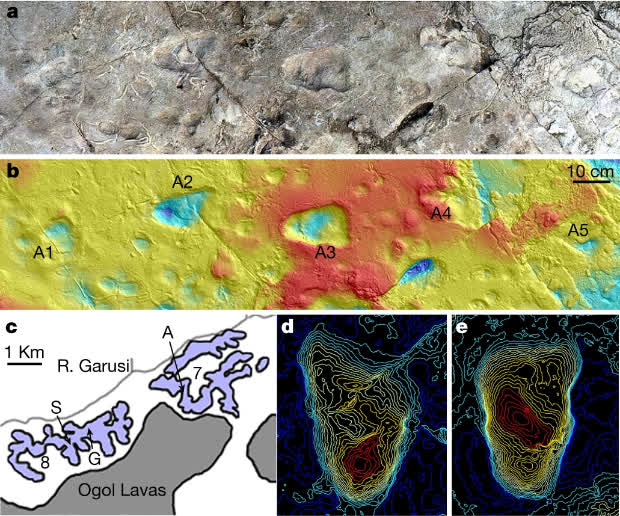 A - photogrammetry image of five hominin footprints; B - image of traces obtained by means of three-dimensional scanning of the surface; C - site map; D, E - best preserved traces A2 and A3. Credit: Ellison McNutt et al. / Nature, 2021