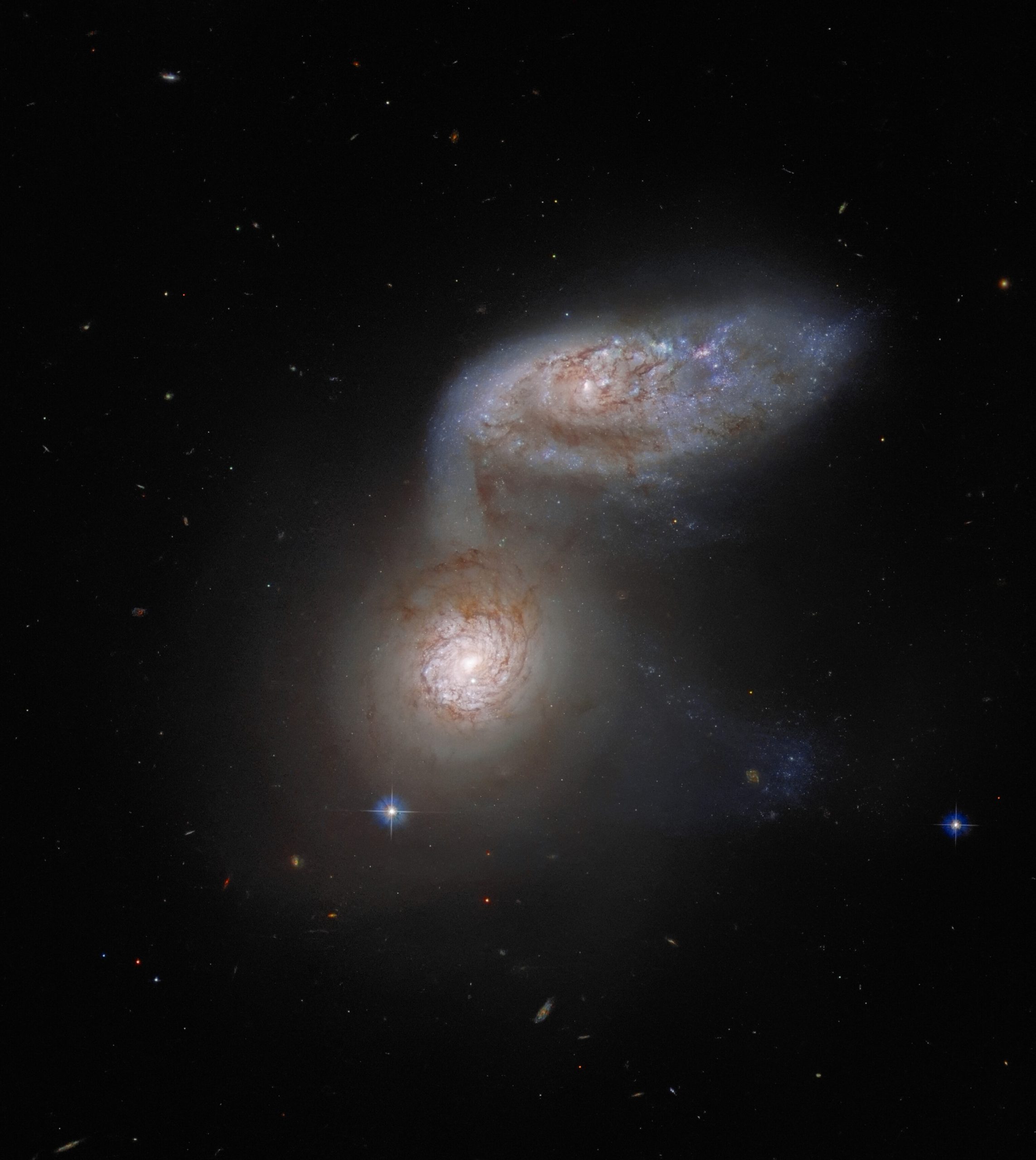 Another fascinating example of interacting galaxies in November's image - galaxies NGC 5953 and NGC 5954, collectively known as Apr 91. Credit: ESA/Hubble & NASA, J. Dalcanton