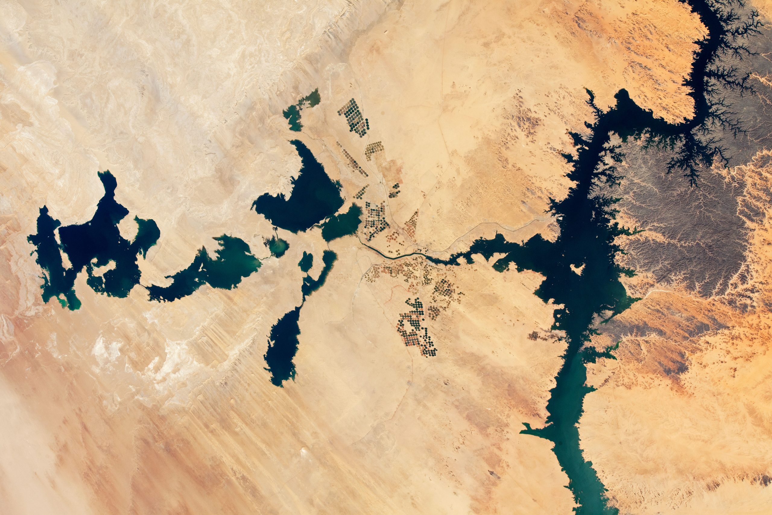 Satellite images of artificial lakes in the Egyptian desert. Image Credit: NASA Earth Observatory.