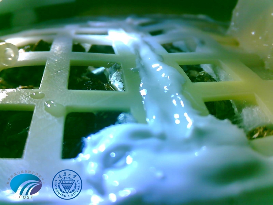 This image shows that the cotton buds delivered to the Moon were growing well. Credit: CNSA
