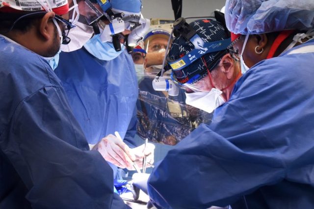 Doctors successfully made the first-ever transplantation of a pig's heart into a man. Credit: University of Maryland