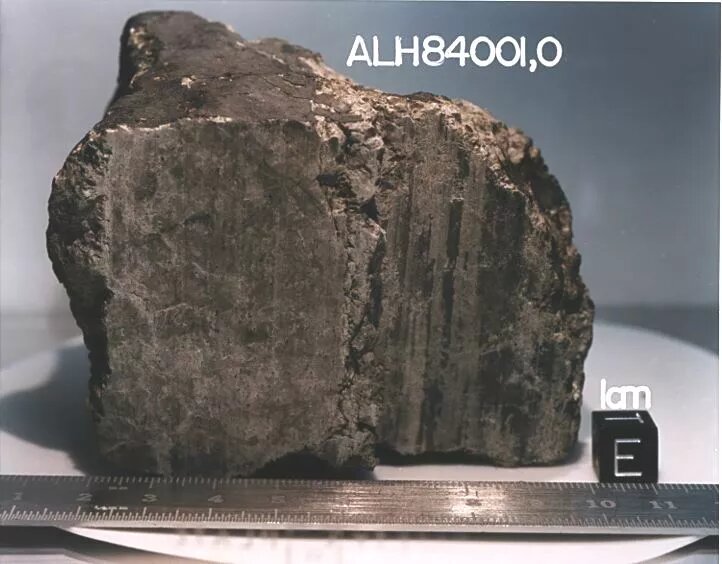 The ALH 84001 meteorite. Credit: NASA/JSC/Stanford University