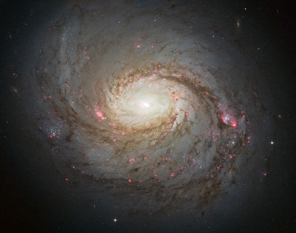 An image of the spiral galaxy Messier 77 taken by the Hubble Space Telescope. Credit: NASA/ESA Hubble Space Telescope