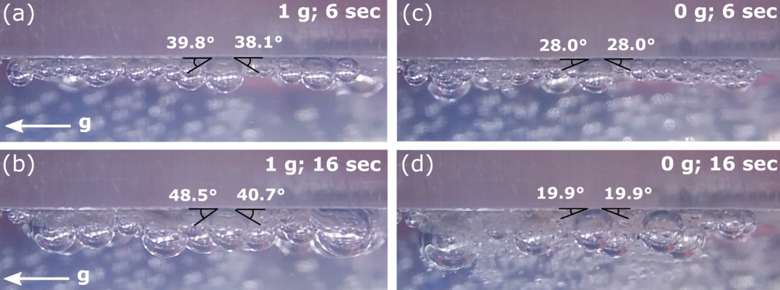 Side view of oxygen bubbles on the cathode (left) in normal gravity, (right) in reduced gravity with contact angles indicated. Credit: Bethany A. Lomax et al./ Nature Communications, 2022