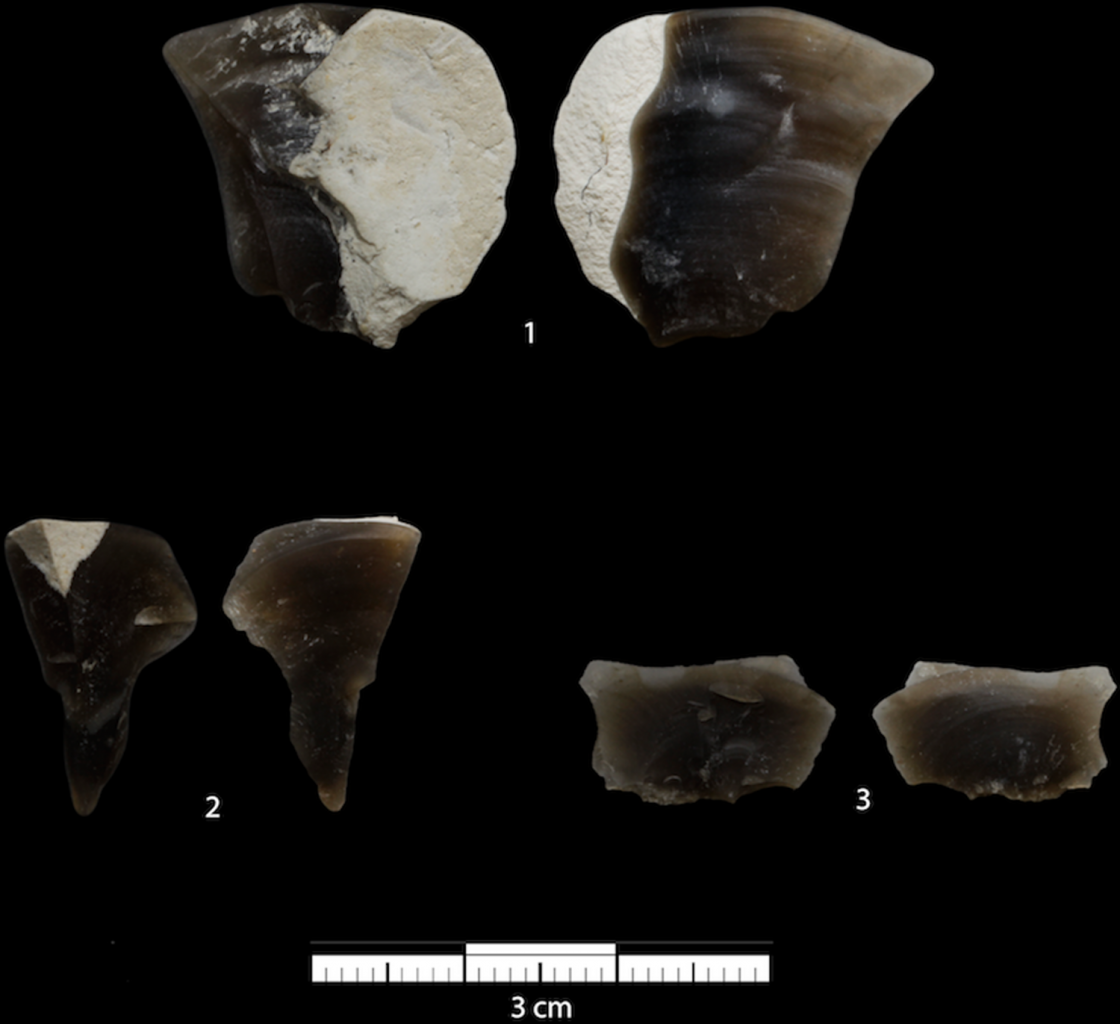 Sharp chips that the orangutan Louie managed to get using stone tools. Credit: Alba Motes-Rodrigo et al. / PLoS ONE, 2022