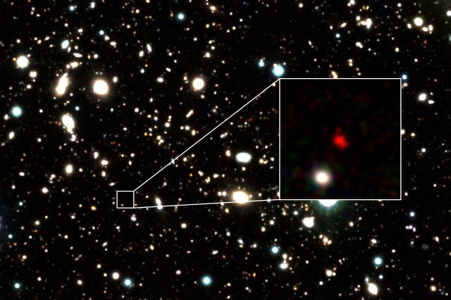 The new candidate for the most distant galaxy - HD1. Credit: Harikane et. al.