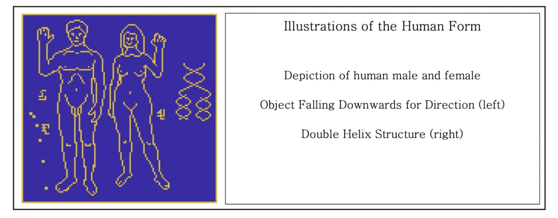 A slide in the Beacon of the Galaxy showing the appearance of humans as well as the double helix structure. Credit: J. H. Jiang et al., 2022