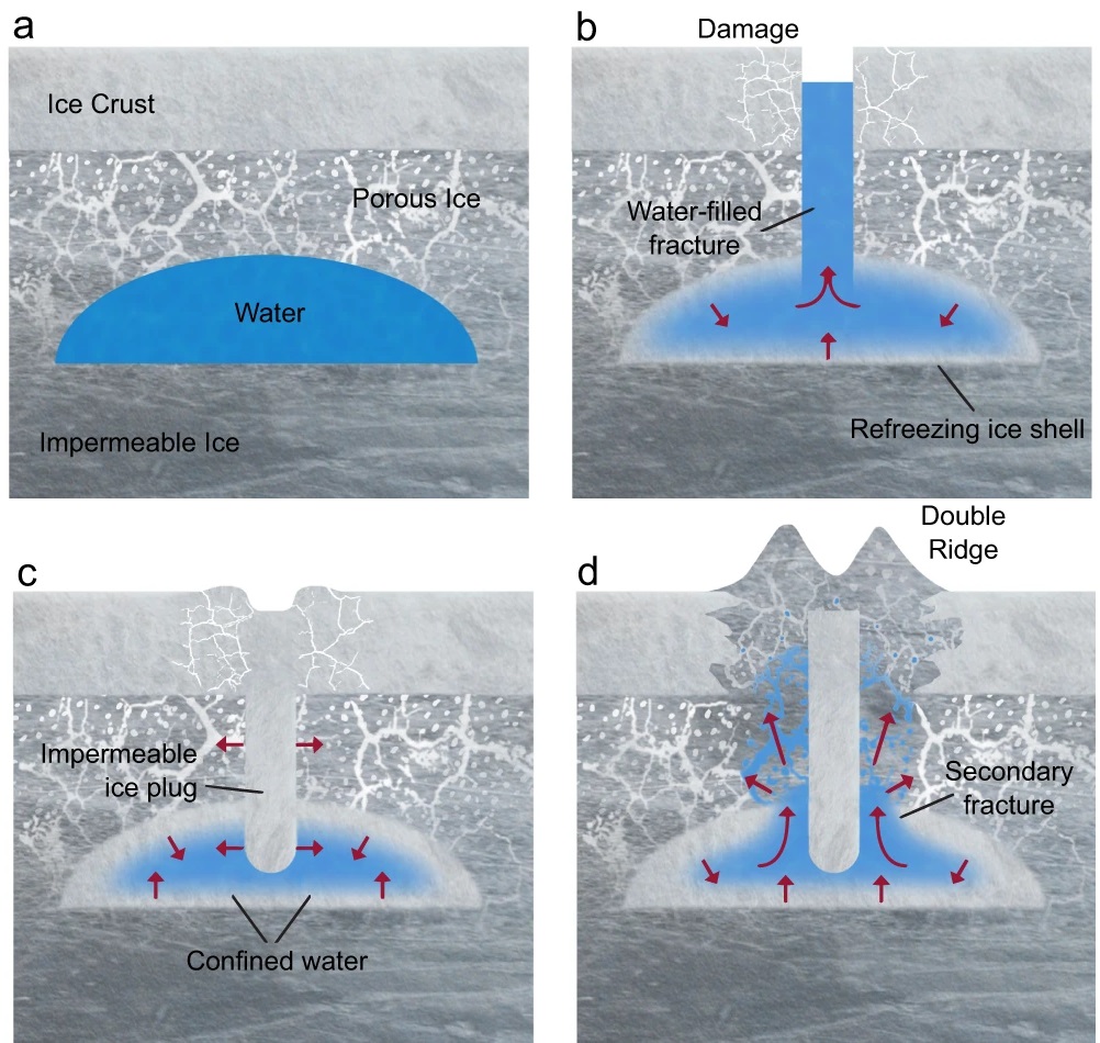 Scheme of the formation of a double ridge on Europa. Gray areas are ice, white/light gray areas are pores, blue areas are liquid water. The red arrows show the directions of the forces. Credit: Riley Culberg et al. / Nature Communications, 2022