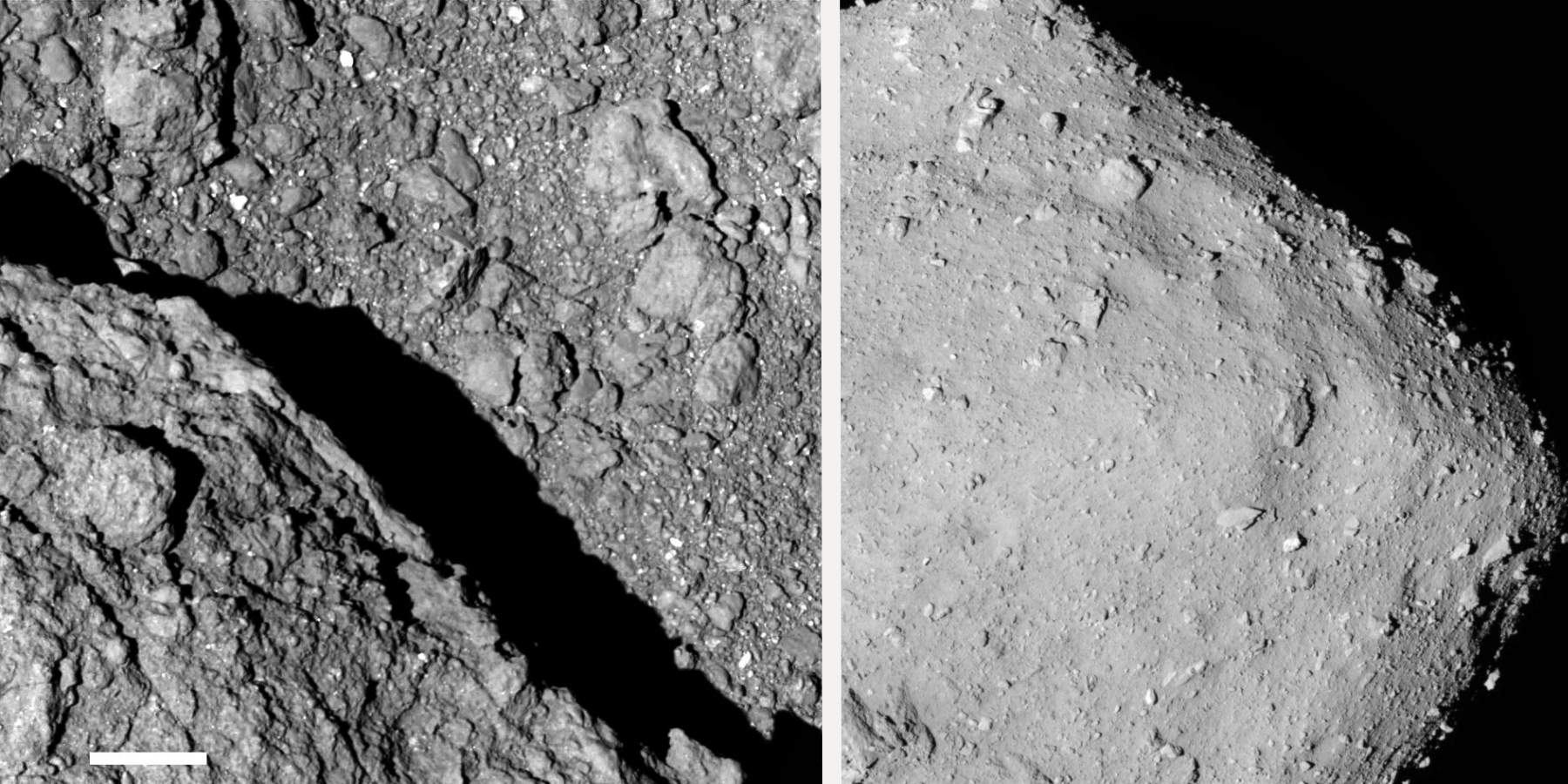 Asteroid Ryugu Surface features reveal 20 amino acids and building blocks of life. Image Credit: JAXA.