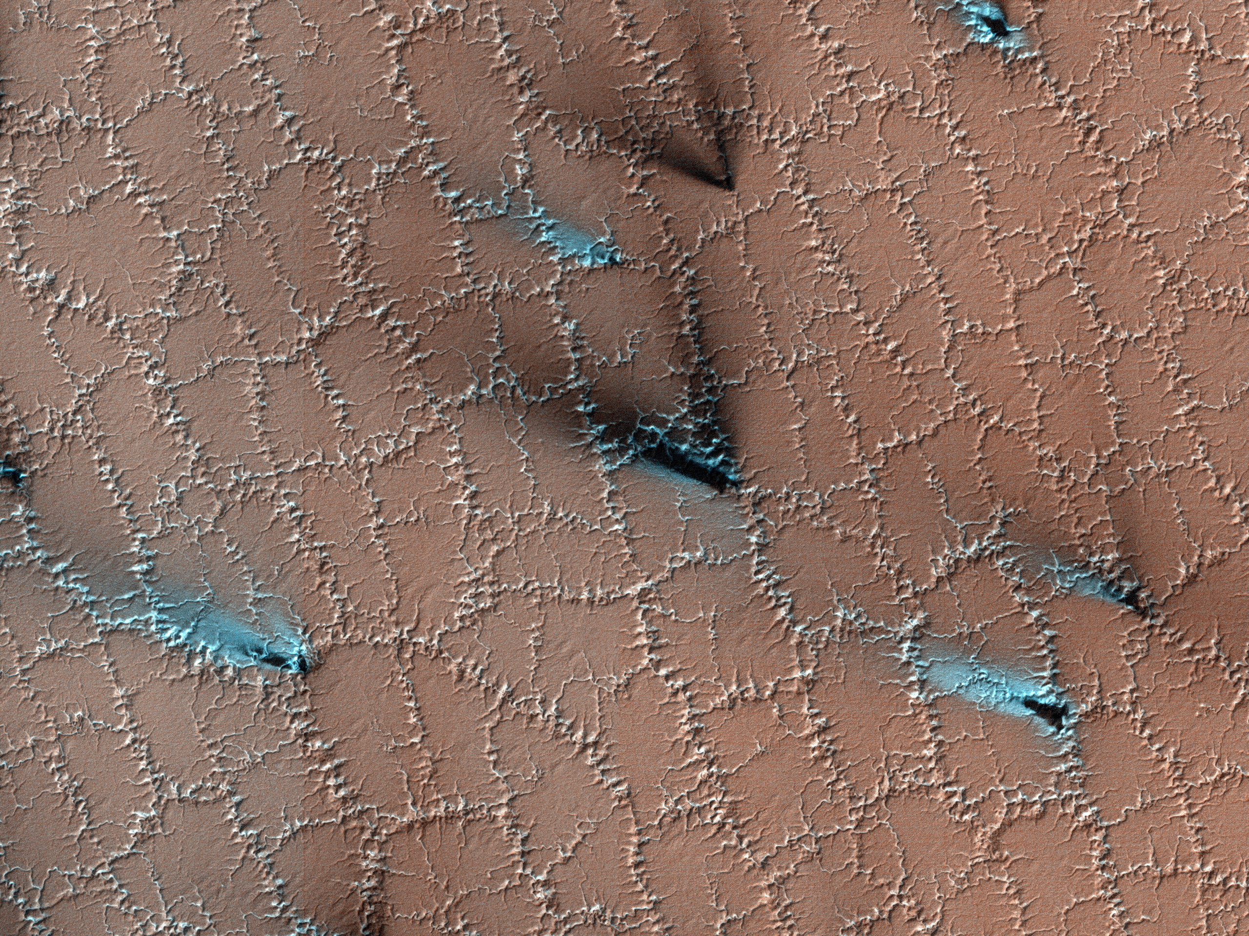 Spring Fans and Polygons on Mars as seen by the HiRISE on board the MRO. Image Credit: NASA/JPL-Caltech/UArizona.