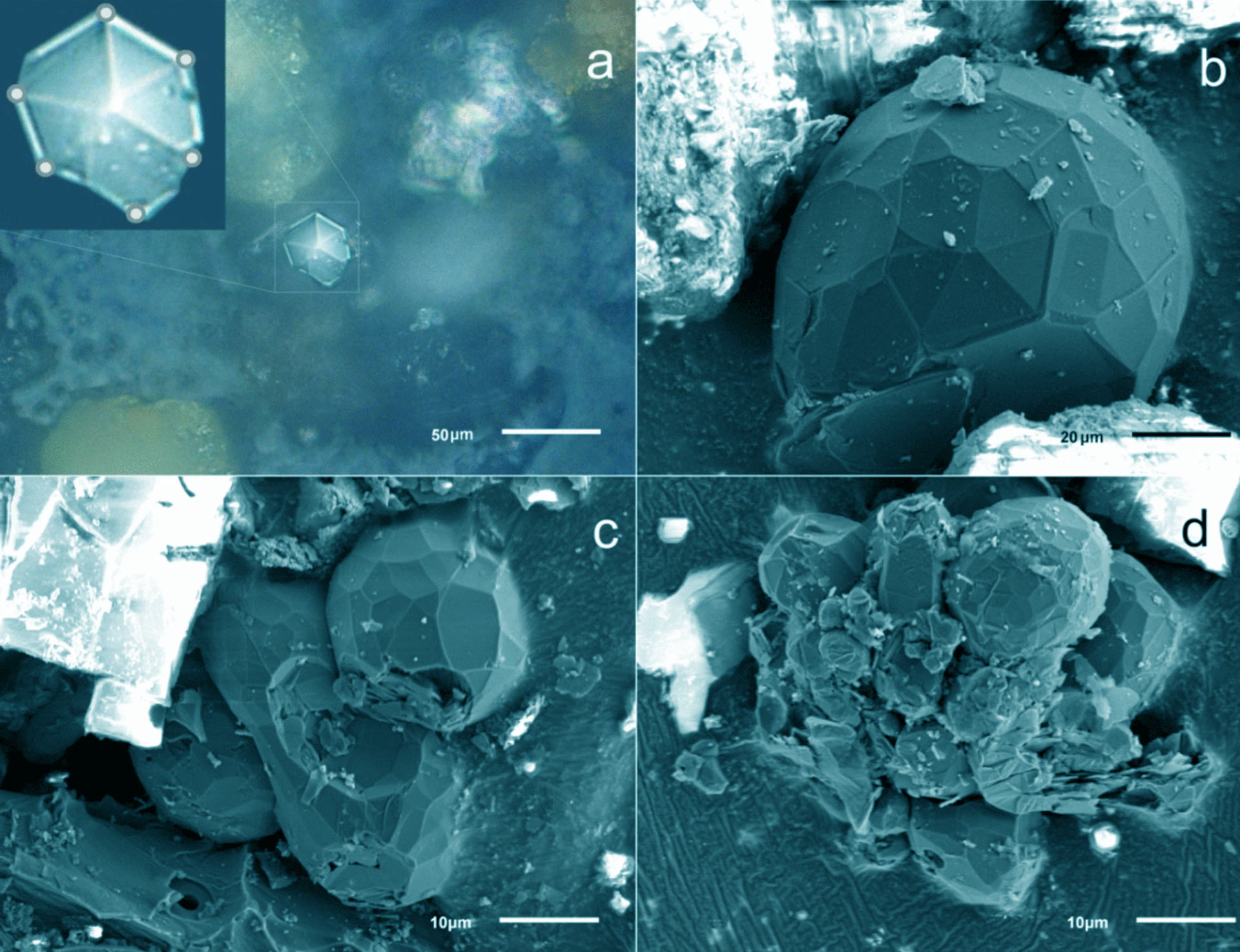 This photograph shows both Optical (a) and SEM (b-d) views of the carbon crystals embedded in the meteoritic dust. Image credit: Taskaev et al., doi: 10.1140/epjp/s13360-022-02768-7.