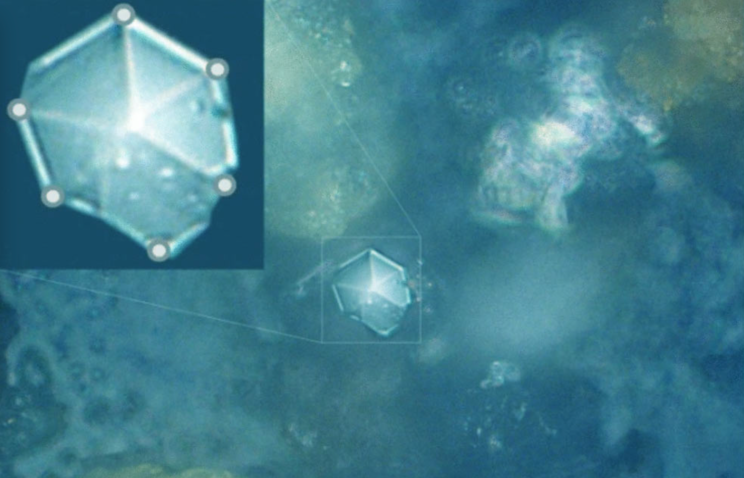 An image of the carbon microcrystals in meteoritic dust of the Chelyabinsk superbolide. Image Credit: Taskaev et al., doi: 10.1140/epjp/s13360-022-02768-7.