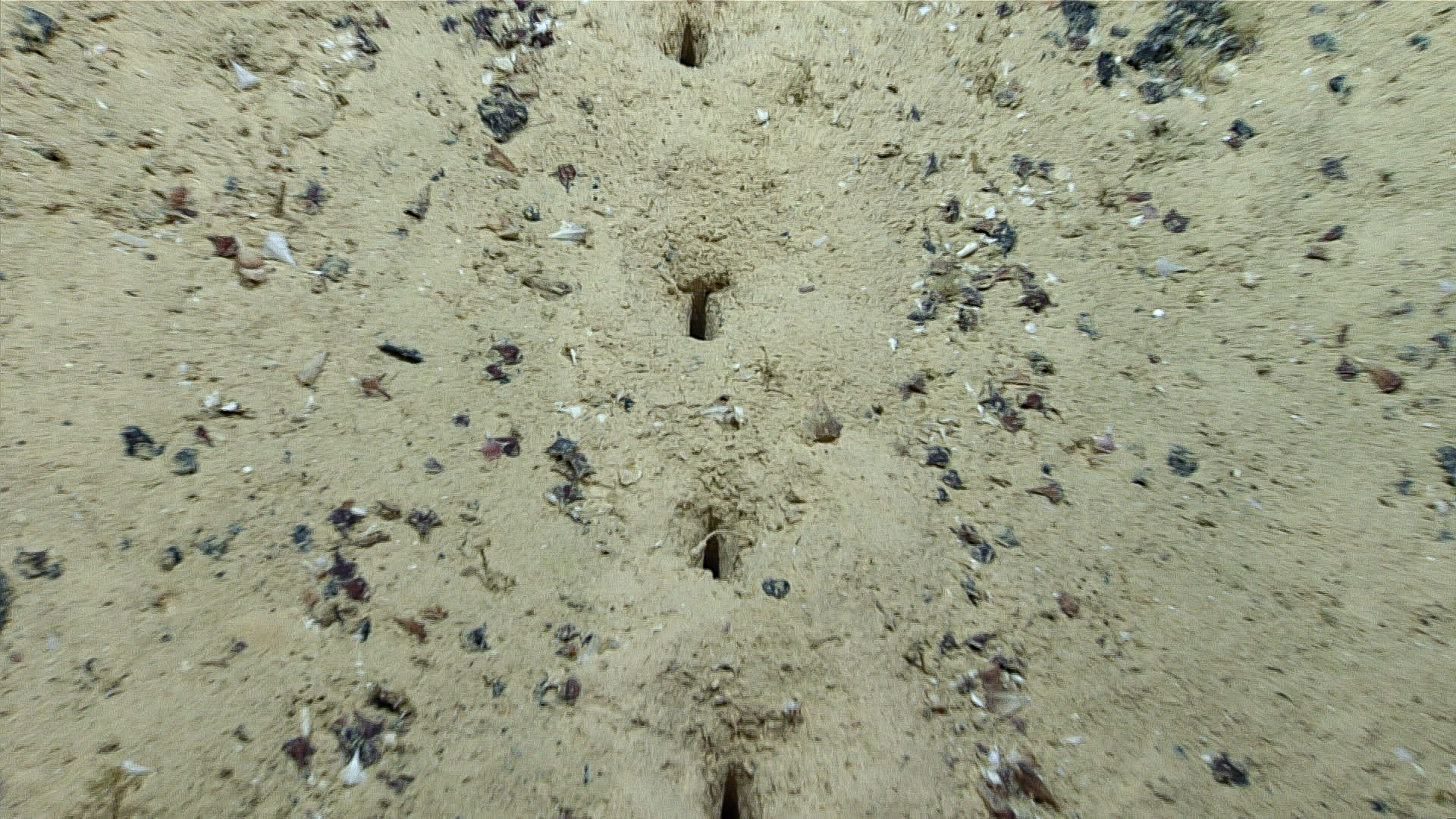 The enigmatic holes were discovered at a depth of three kilometers. NOAA.