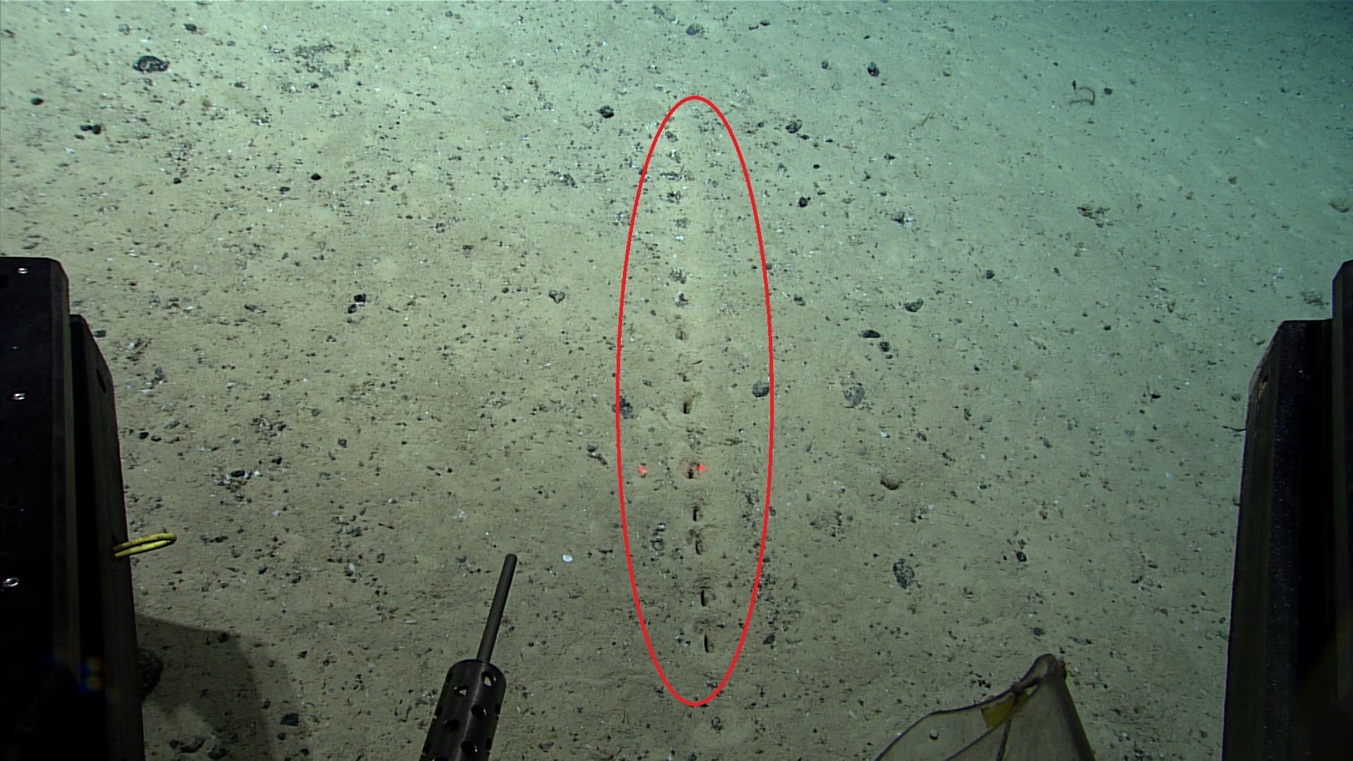 Mystery holes on the bottom of the ocean. NOAA.