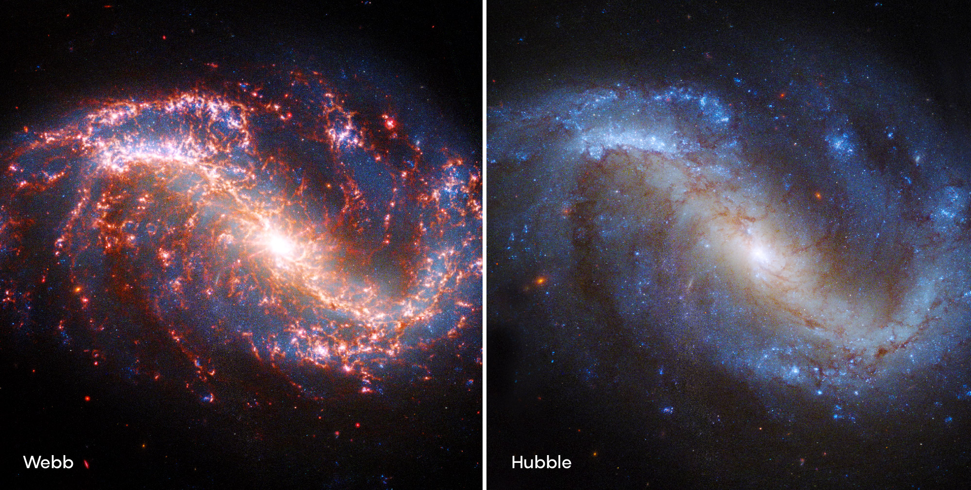 A comparison between an image of NGC 7496 taken by the James Webb Space Telescope (left) and the same galaxy photographed by the Hubble Space Telescope (right). NASA, ESA, CSA, and STScI.