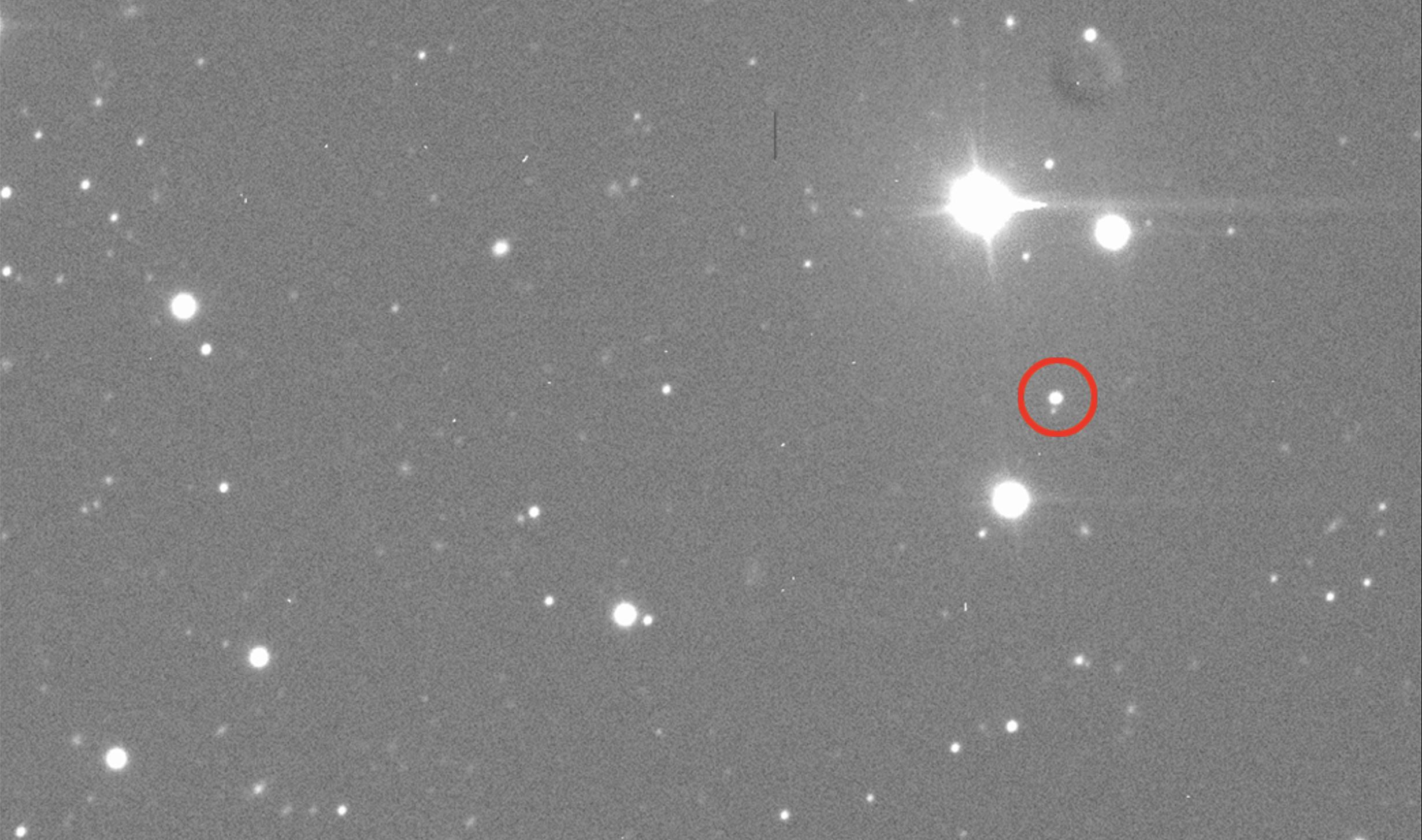 A cropped image showing Dimorphos circled in red, the target of the DART mission by NASA. Image Credit: Lowell Observatory/N. Moskovitz.