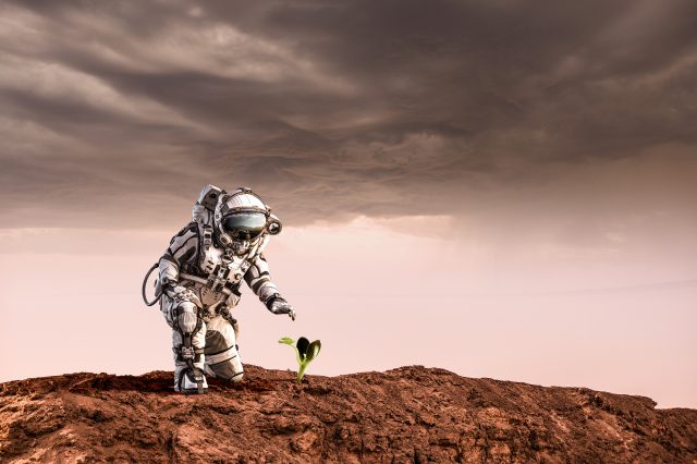 An illustration of an astronaut and a plant on Mars. Depositphotos.